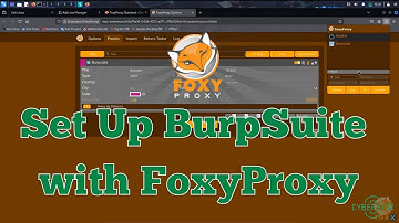 How to Configure Burp Suite with FoxyProxy on Firefox in Kali Linux