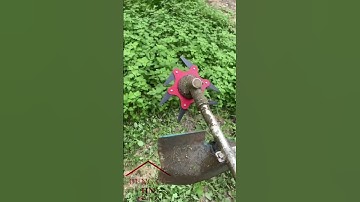 Lưỡi cắt cỏ 6 cánh