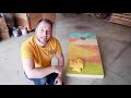 Easy To Make Corn Hole Board Game | Beginner or Pro Woodworking Project