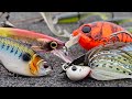 Top 5 "Must Have Baits" For Spring Bass Fishing!