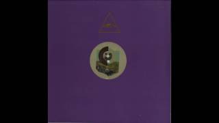 Mirko Loko - The Hutchison Effect - 2016 Visionquest