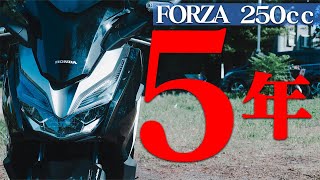 My conclusion after riding the FORZA250 for 5 years…Why it's truly recommended and what to be car...
