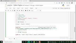 19 - Python Tuple