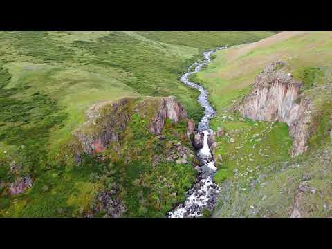 Video: Altai Sibul (16 Fotot): Kivisibula 