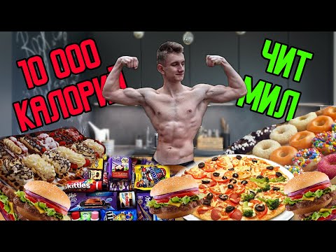 Vídeo: Menys calories: millor memòria