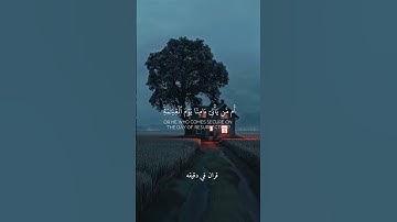 قران كريم ارح قلبك وسمعك #المنشاوي @قران_في_دقيقه #قران_في_دقيقة #quran #المصحف #قران