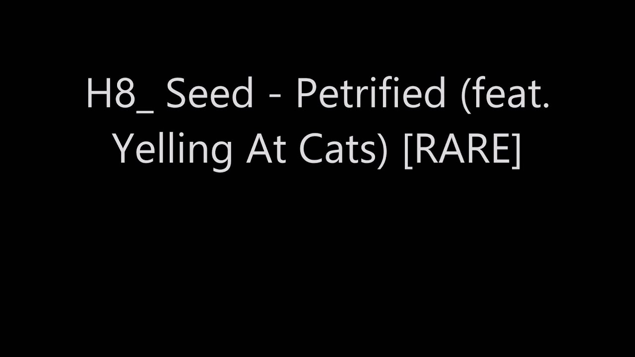 H8_Seed - Petrified (feat. Yelling At Cats)