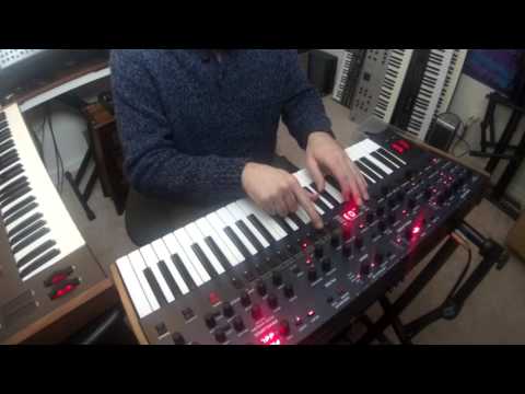 DSI / Tom Oberheim - OB6 - live looping demonstration