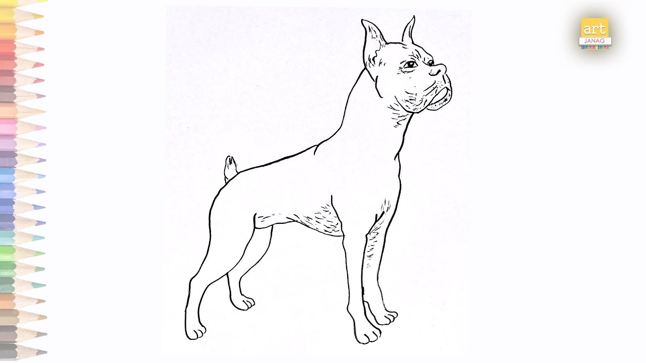 The Boxer dog drawing easy | How to draw the Boxer dog drawing step by ...