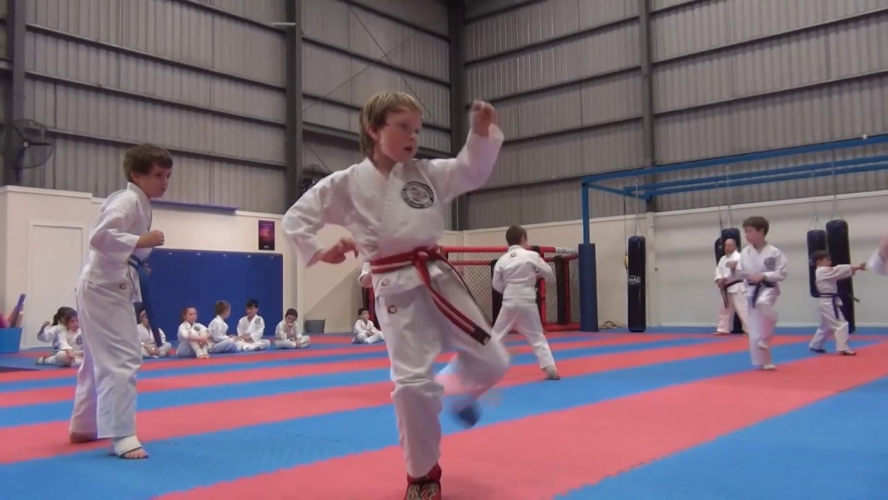 Newcastle Karate Tiny Tigers Class YouTube