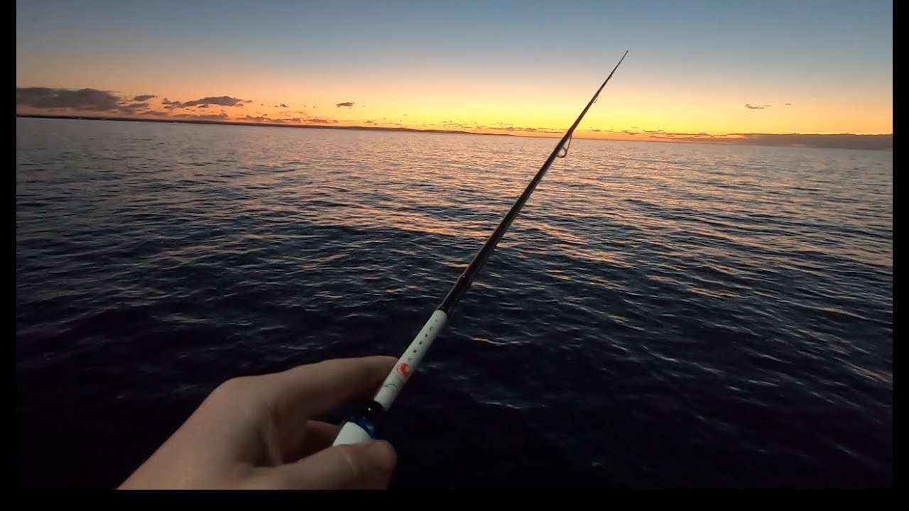 Squid fishing the amazing Busselton Jetty YouTube