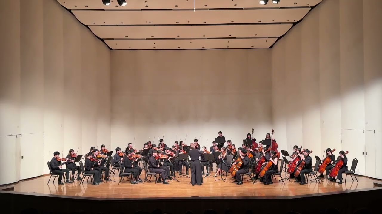 Edvard Grieg : Anitra's Dance from Peer Gynt Suite