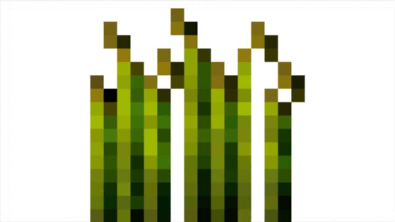 Как посадить семена пшеницы в майнкрафте - YouTube