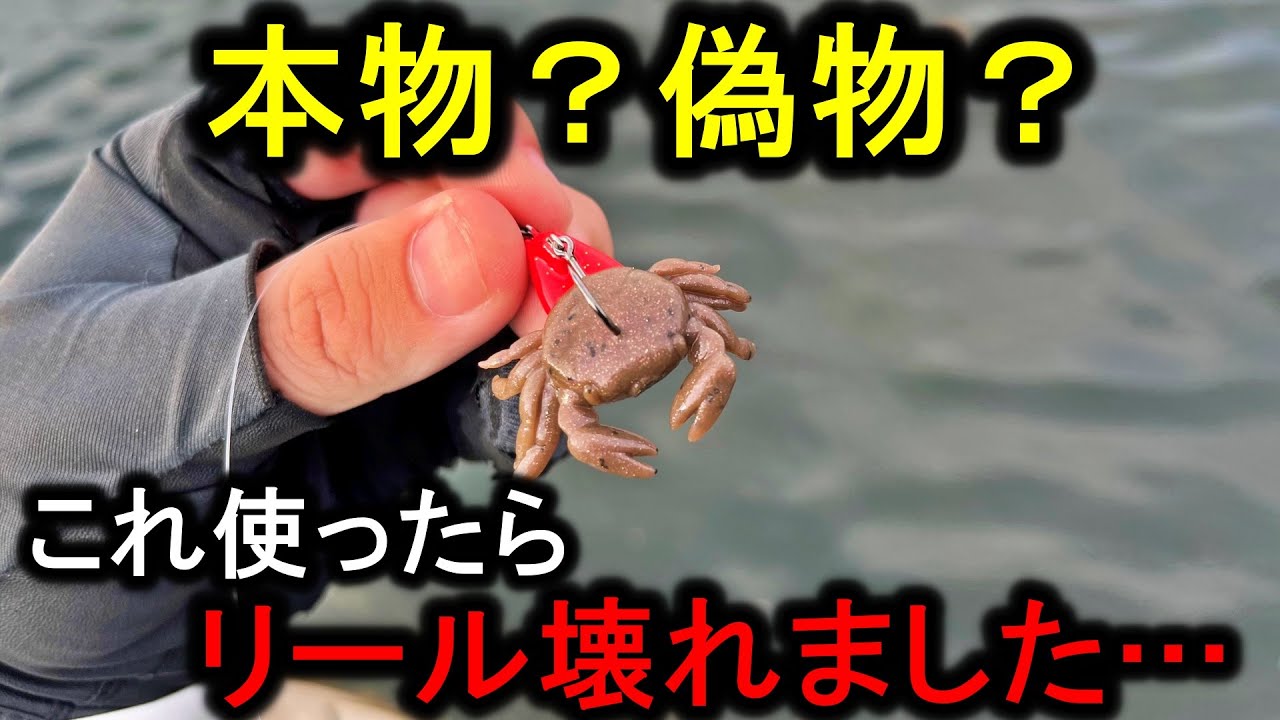 くまカニ This lure looked just like a crab but suddenly a big fish