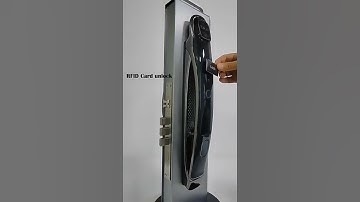 Wifi Tuya APP Face Recognition Smart Door Lock With Camera Video Cal