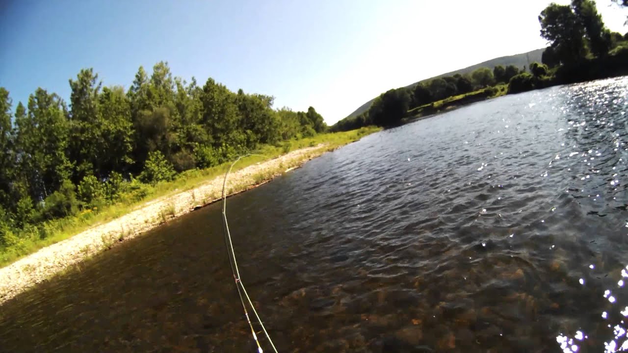 Trout Fishing on the Deerfield River YouTube