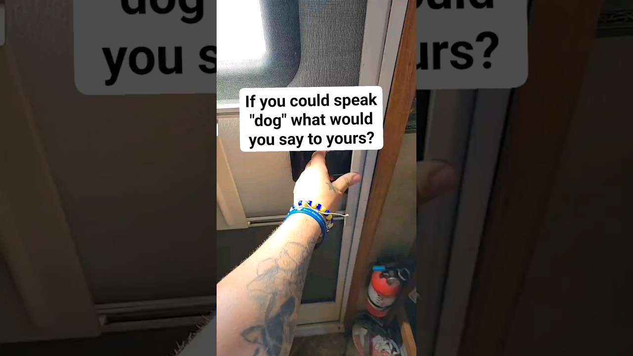 I would thank them if I could 