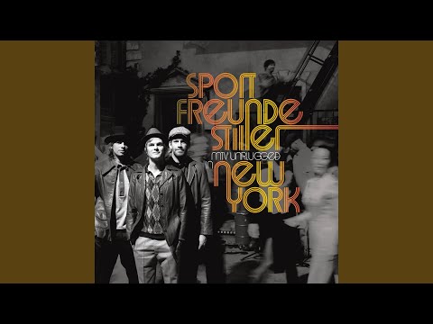 Ein kleiner Schritt (MTV Unplugged In New York)