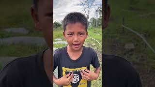 Suara suara hewan #shorts #comedy