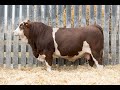 LOT 296J WOLFE FARMS 2022