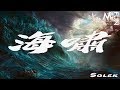 Soler Tsunami Dynamic Lyrics Soler Tsunami Dynamic Lyrics