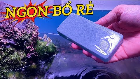 Cục Tẩy Cặn Canxi Thần Thánh Cho Hồ Cá Hồ Thủy Sinh - Góc Thủy Sinh !