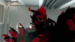 Paw-gust Platform Stomp Alternate angles and GoPro Version