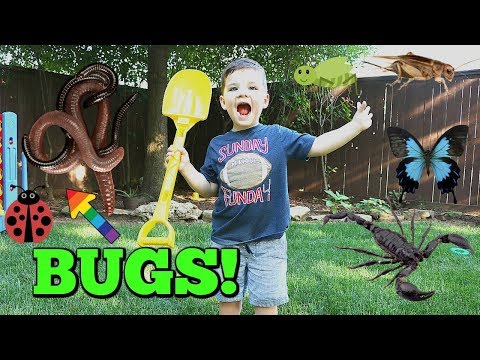 Caleb & Mommy Play with REAL Bugs Outside and Learn Colors! Pretend Play with Insects