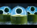 Matcha Chocolate Yokan - "Marimo" Moss Balls Museum