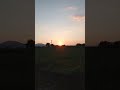 #渡瀬恒彦【とんずらトンボ】