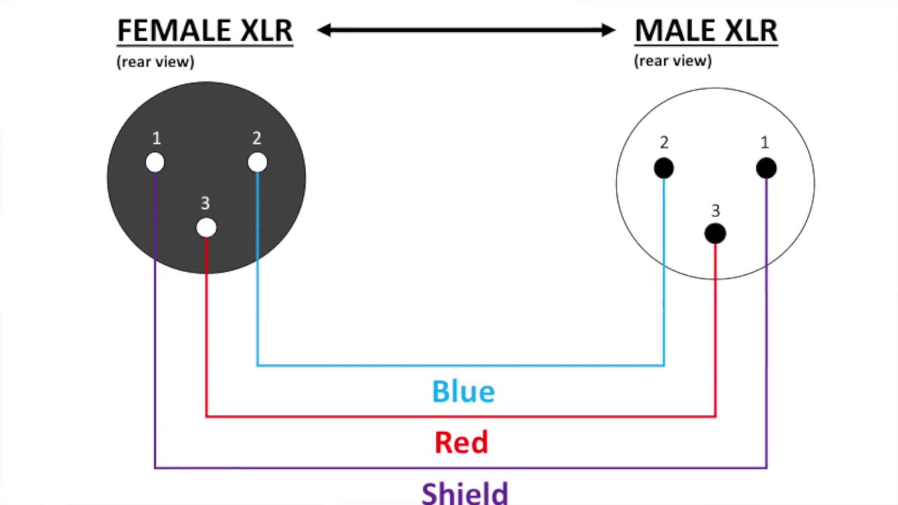 Wiring Diagram For Xlr Schematic And Wiring Diagram | Images and Photos