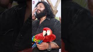 Macaw Parrot Price in Hyderabad #macawparrot #macawbird #birdshow #hyderabad #talkingparrot