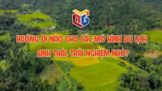 Hướng đi nào cho các mô hình du lịch sinh thái, trải nghiệm nhỏ?