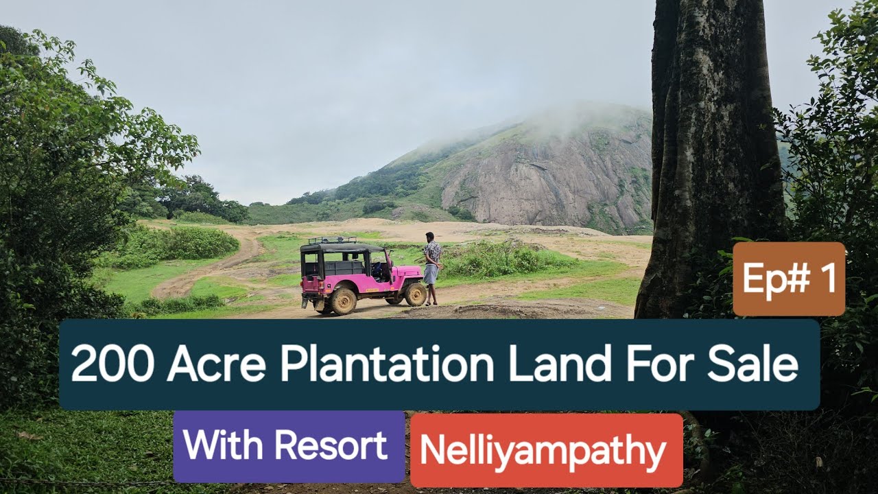 200 Acre Plantation  Land For Sale Ep#1 with Resort Nelliyampathy 9388890009