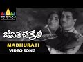 Jeevitha chakram songs  madhurati madhuram song  ntr vanisri  sri balaji