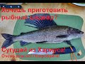 Рецепт приготовление рыбы! Сугудай из хариуса! Как правильно филировать рыбу!