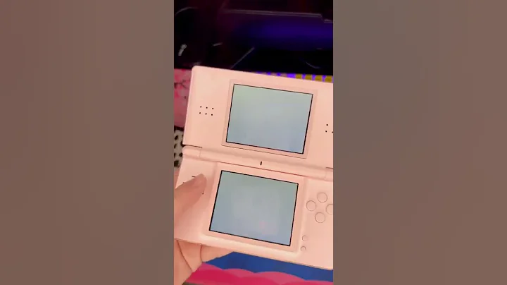 Nintendogs Vlog on Nintendo DS Lite