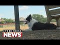 WTVO Eyewitness News for June 10th, 2026 (full broadcast)