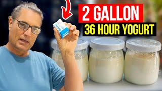 2 Gallon 36 hour Yogurt from L. Reuteri - Dr. Davis recipe - How to Make Yogurt at Home