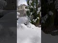 Japan Just Hit Peak Winter Vibe and It’s Actually Unreal ❄️