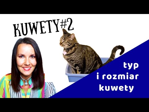 Wideo: Jaka jest właściwa procedura czyszczenia kuwet?