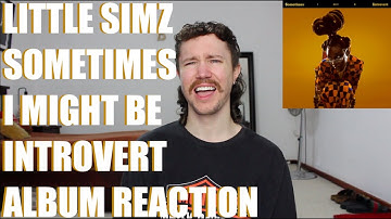 LITTLE SIMZ - SOMETIMES I MIGHT BE INTROVERT ALBUM REACTION