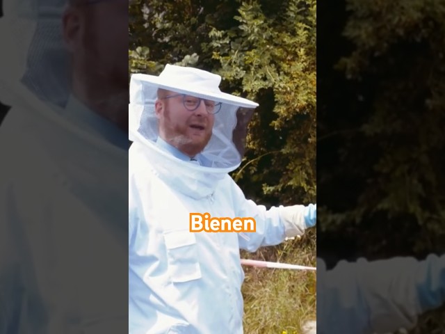 Die Arbeit mit den Bienen erfordert Ruhe und Besonnenheit