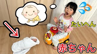 ここちゃん mqdefault.jpg