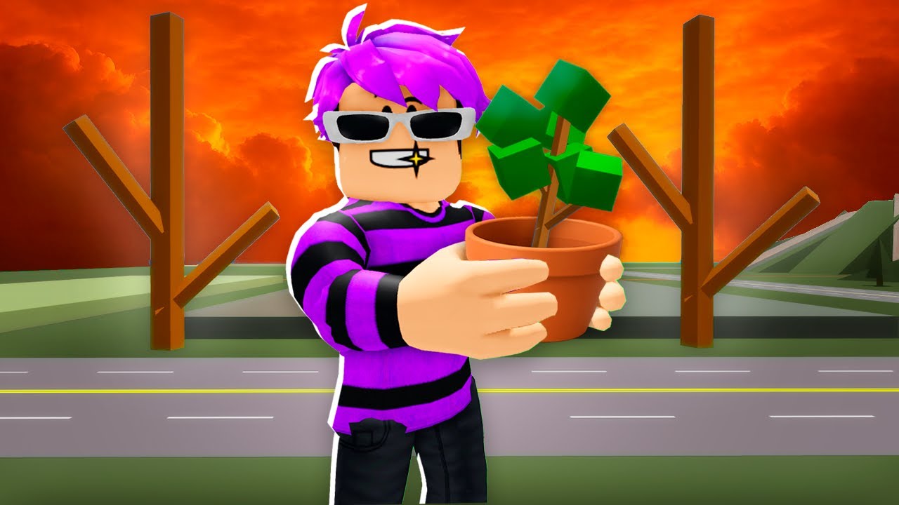 maxresdefault.jpg