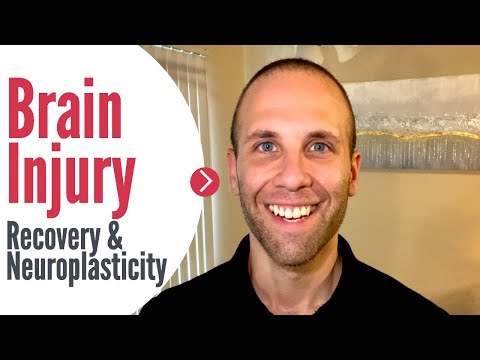 Brain Injury Recovery and Neuroplasticity