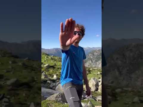 Presanella — Cima Presanella e forcella Freshfield dalla normale Nord