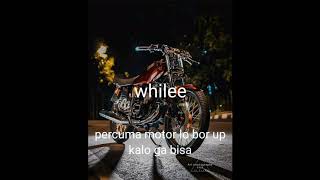 Story wa (rxking)