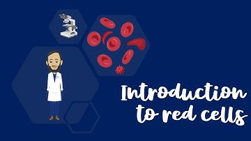 #OnlyCells: Introduction to red cells (Part 1)