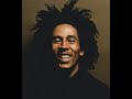 Bob Marley - I Wanna Love You - RnB Remix - Desi Raines